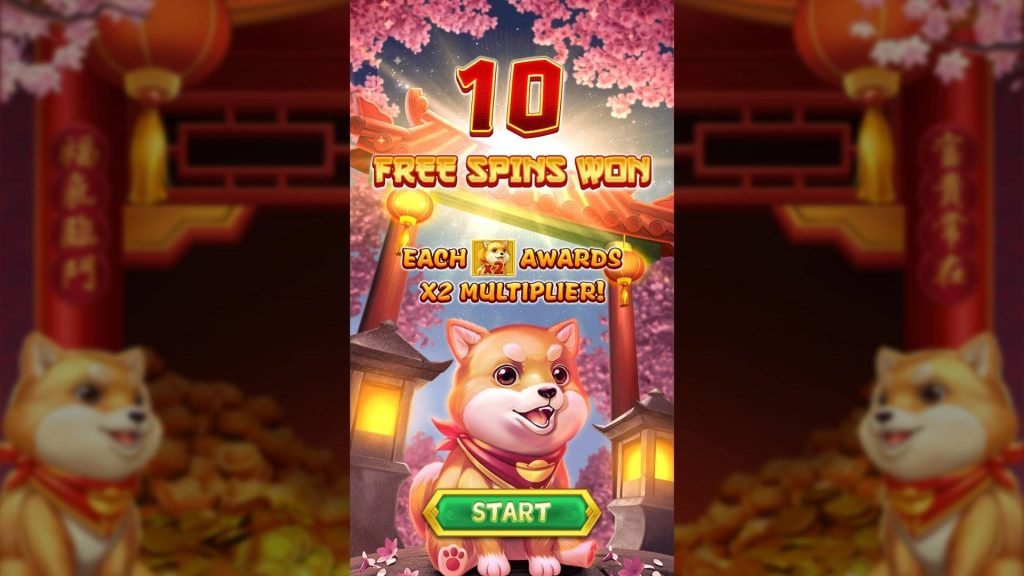 財神娛樂城、線上遊戲、電子遊戲、娛樂城體驗金、APP下載